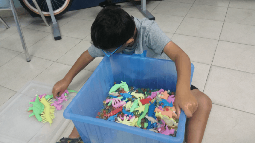 תרגול בויסות חושי , חוש המגע . תרגיל מספר 18