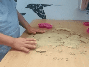 תרגול בויסות חושי , חוש המגע . תרגיל מספר 10