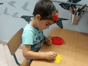 תרגול בויסות חושי , חוש המגע . תרגיל מספר 13