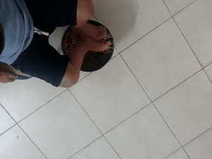 תרגול בויסות חושי , חוש המגע . תרגיל מספר 16