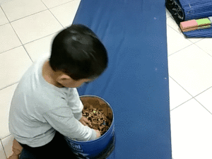 תרגול בויסות חושי , חוש המגע . תרגיל מספר 17