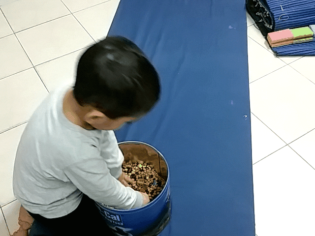 תרגול בויסות חושי , חוש המגע . תרגיל מספר 17