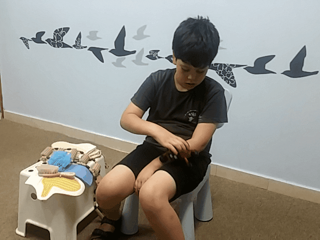 תרגול בויסות חושי , חוש המגע . תרגיל מספר 3