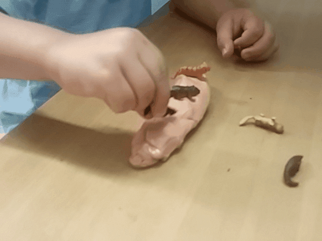 תרגול בויסות חושי , חוש המגע . תרגיל מספר 8